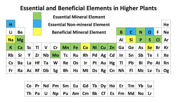 Essential Plant Elements